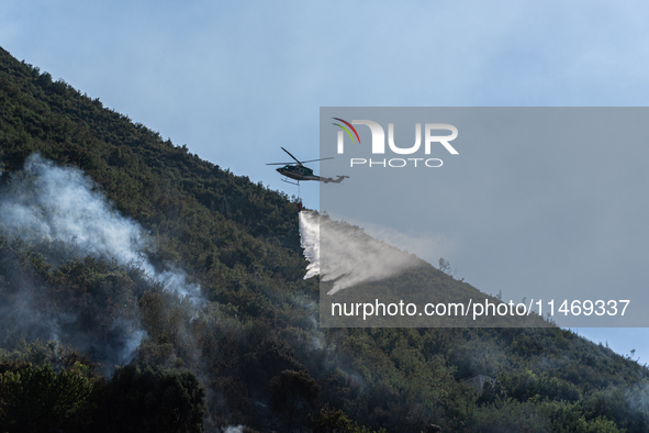 A large forest fire is breaking out on Sunday afternoon on Monte Pendolo, between the municipalities of Gragnano and Pimonte in the Naples a...