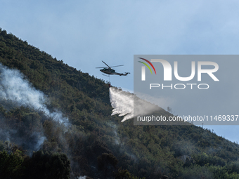 A large forest fire is breaking out on Sunday afternoon on Monte Pendolo, between the municipalities of Gragnano and Pimonte in the Naples a...