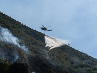 A large forest fire is breaking out on Sunday afternoon on Monte Pendolo, between the municipalities of Gragnano and Pimonte in the Naples a...