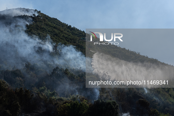 A large forest fire is breaking out on Sunday afternoon on Monte Pendolo, between the municipalities of Gragnano and Pimonte in the Naples a...