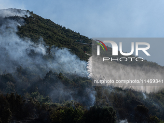 A large forest fire is breaking out on Sunday afternoon on Monte Pendolo, between the municipalities of Gragnano and Pimonte in the Naples a...