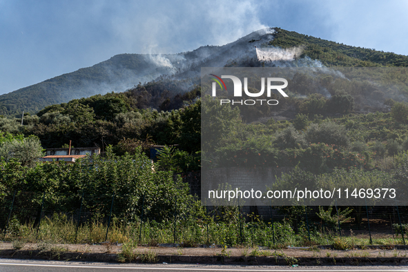 A large forest fire is breaking out on Sunday afternoon on Monte Pendolo, between the municipalities of Gragnano and Pimonte in the Naples a...