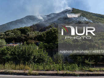 A large forest fire is breaking out on Sunday afternoon on Monte Pendolo, between the municipalities of Gragnano and Pimonte in the Naples a...