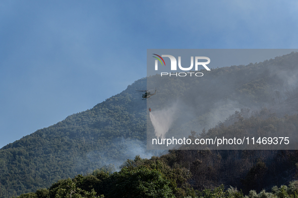 A large forest fire is breaking out on Sunday afternoon on Monte Pendolo, between the municipalities of Gragnano and Pimonte in the Naples a...