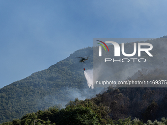 A large forest fire is breaking out on Sunday afternoon on Monte Pendolo, between the municipalities of Gragnano and Pimonte in the Naples a...