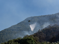 A large forest fire is breaking out on Sunday afternoon on Monte Pendolo, between the municipalities of Gragnano and Pimonte in the Naples a...