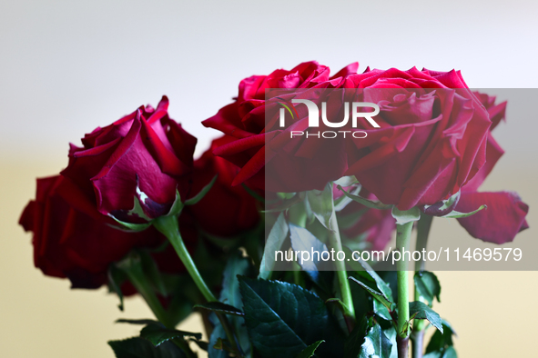 A bouquet of red roses is seen in southern Poland on August 11, 2024. 