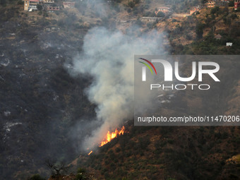 A forest fire is burning near the village of Larbaa Nath Reten, Tizi Ouzou, in the mountainous region of Kabyle, Algeria, on August 11, 2024...