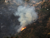 A forest fire is burning near the village of Larbaa Nath Reten, Tizi Ouzou, in the mountainous region of Kabyle, Algeria, on August 11, 2024...