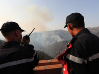 A forest fire is burning near the village of Larbaa Nath Reten, Tizi Ouzou, in the mountainous region of Kabyle, Algeria, on August 11, 2024...