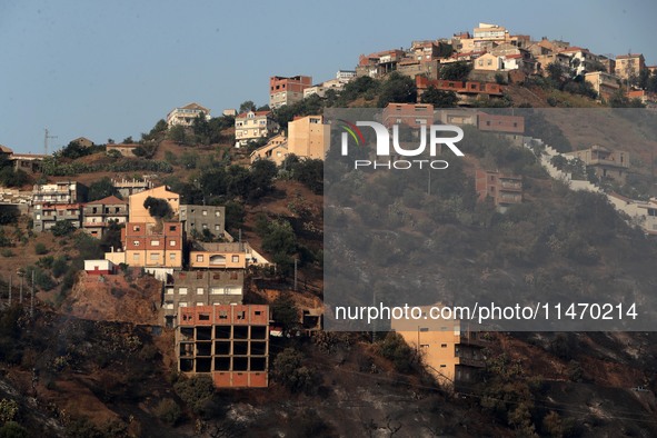 A forest fire is burning near the village of Larbaa Nath Reten, Tizi Ouzou, in the mountainous region of Kabyle, Algeria, on August 11, 2024...