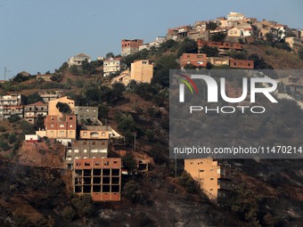 A forest fire is burning near the village of Larbaa Nath Reten, Tizi Ouzou, in the mountainous region of Kabyle, Algeria, on August 11, 2024...