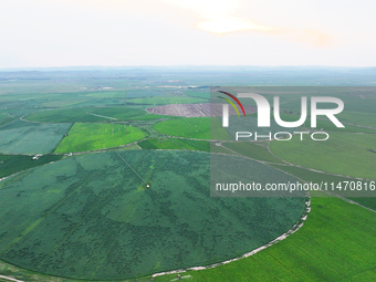 A view is overlooking farmland irrigated with water-saving technology pointer sprinkler irrigation equipment in a modern agricultural Indust...