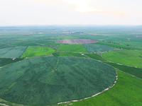 A view is overlooking farmland irrigated with water-saving technology pointer sprinkler irrigation equipment in a modern agricultural Indust...