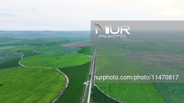 A view is overlooking farmland irrigated with water-saving technology pointer sprinkler irrigation equipment in a modern agricultural Indust...