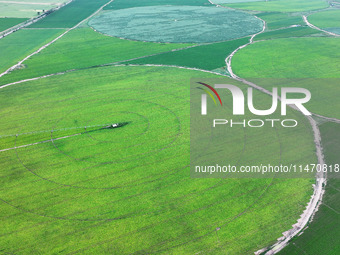 A view is overlooking farmland irrigated with water-saving technology pointer sprinkler irrigation equipment in a modern agricultural Indust...