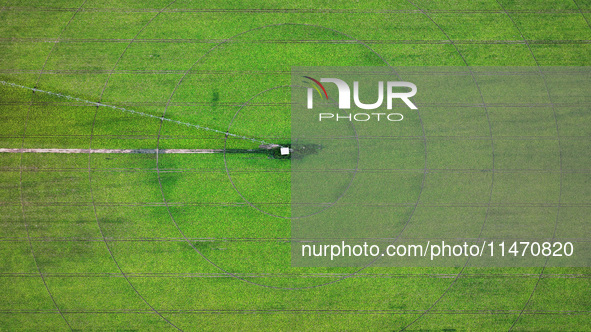 A view is overlooking farmland irrigated with water-saving technology pointer sprinkler irrigation equipment in a modern agricultural Indust...