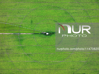 A view is overlooking farmland irrigated with water-saving technology pointer sprinkler irrigation equipment in a modern agricultural Indust...