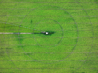 A view is overlooking farmland irrigated with water-saving technology pointer sprinkler irrigation equipment in a modern agricultural Indust...