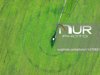 A view is overlooking farmland irrigated with water-saving technology pointer sprinkler irrigation equipment in a modern agricultural Indust...