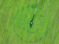 A view is overlooking farmland irrigated with water-saving technology pointer sprinkler irrigation equipment in a modern agricultural Indust...