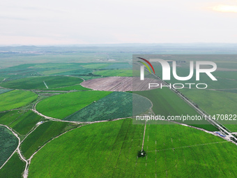 A view is overlooking farmland irrigated with water-saving technology pointer sprinkler irrigation equipment in a modern agricultural Indust...