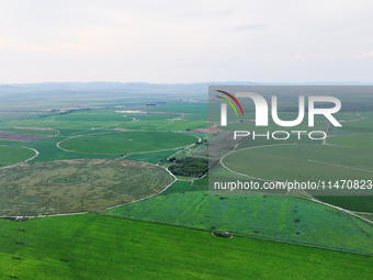 A view is overlooking farmland irrigated with water-saving technology pointer sprinkler irrigation equipment in a modern agricultural Indust...