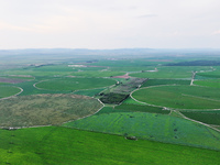 A view is overlooking farmland irrigated with water-saving technology pointer sprinkler irrigation equipment in a modern agricultural Indust...