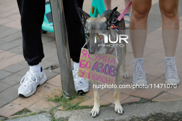 A dog with a placard around its neck is being pictured during the 'Don't Be Silent. Captivity Kills!' rally held to support Ukrainian prison...