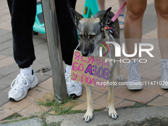 A dog with a placard around its neck is being pictured during the 'Don't Be Silent. Captivity Kills!' rally held to support Ukrainian prison...