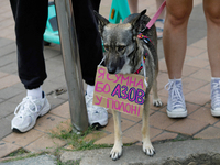 A dog with a placard around its neck is being pictured during the 'Don't Be Silent. Captivity Kills!' rally held to support Ukrainian prison...