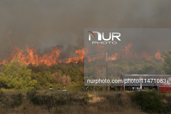 Firefighters are operating during a wildfire in Varnavas, north of Athens, on August 12, 2024. Greece is battling several wildfires on Augus...