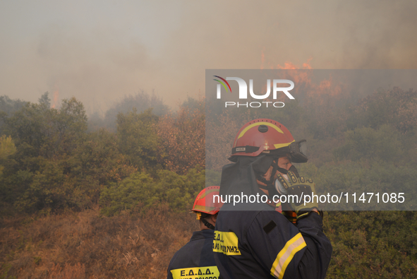 Firefighters are operating during a wildfire in Varnavas, north of Athens, on August 12, 2024. Greece is battling several wildfires on Augus...