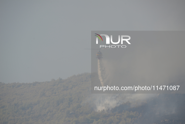 Firefighters are operating during a wildfire in Varnavas, north of Athens, on August 12, 2024. Greece is battling several wildfires on Augus...