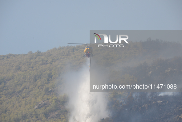 Firefighters are operating during a wildfire in Varnavas, north of Athens, on August 12, 2024. Greece is battling several wildfires on Augus...