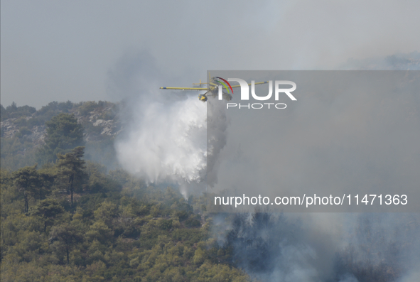 Firefighters are operating during a wildfire in Varnavas, north of Athens, on August 12, 2024. Greece is battling several wildfires on Augus...