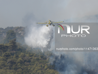 Firefighters are operating during a wildfire in Varnavas, north of Athens, on August 12, 2024. Greece is battling several wildfires on Augus...