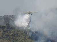 Firefighters are operating during a wildfire in Varnavas, north of Athens, on August 12, 2024. Greece is battling several wildfires on Augus...