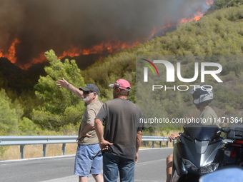 Pedestrians are looking at the fire in the forest during a wildfire in Varnavas, north of Athens, on August 12, 2024. Greece is battling sev...