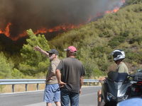 Pedestrians are looking at the fire in the forest during a wildfire in Varnavas, north of Athens, on August 12, 2024. Greece is battling sev...