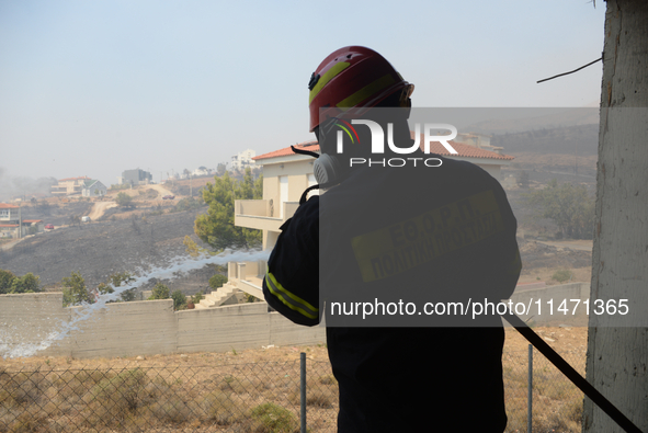 Firefighters are operating during a wildfire in Varnavas, north of Athens, on August 12, 2024. Greece is battling several wildfires on Augus...