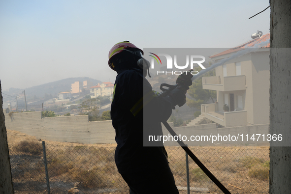 Firefighters are operating during a wildfire in Varnavas, north of Athens, on August 12, 2024. Greece is battling several wildfires on Augus...