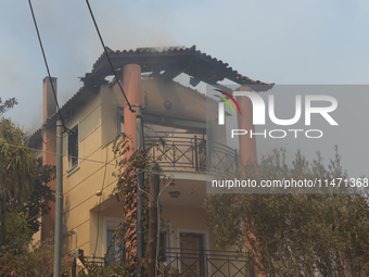 A house is burning in a wildfire in Varnavas, north of Athens, on August 12, 2024. Greece is battling several wildfires on August 11, with s...