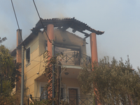 A house is burning in a wildfire in Varnavas, north of Athens, on August 12, 2024. Greece is battling several wildfires on August 11, with s...