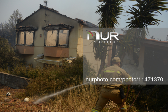 Firefighters are operating during a wildfire in Varnavas, north of Athens, on August 12, 2024. Greece is battling several wildfires on Augus...