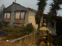 Firefighters are operating during a wildfire in Varnavas, north of Athens, on August 12, 2024. Greece is battling several wildfires on Augus...