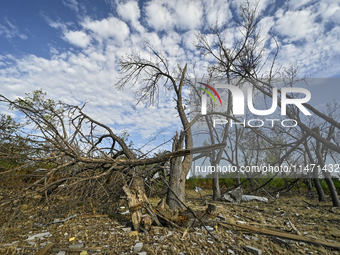 Trees are breaking by the shock wave near the Myrnohrad Infectious Diseases Hospital, which is destroyed by a Russian FAB-500 bomb on July 2...