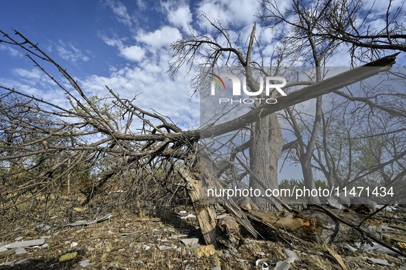 Trees are breaking by the shock wave near the Myrnohrad Infectious Diseases Hospital, which is destroyed by a Russian FAB-500 bomb on July 2...