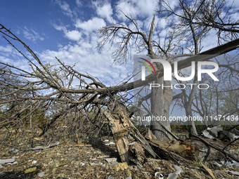 Trees are breaking by the shock wave near the Myrnohrad Infectious Diseases Hospital, which is destroyed by a Russian FAB-500 bomb on July 2...