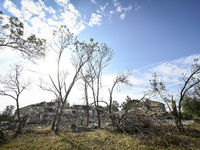 Trees are breaking by the shock wave near the Myrnohrad Infectious Diseases Hospital, which is destroyed by a Russian FAB-500 bomb on July 2...